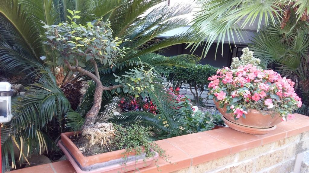 B&B Mirella Citta Sant'Angelo Luaran gambar